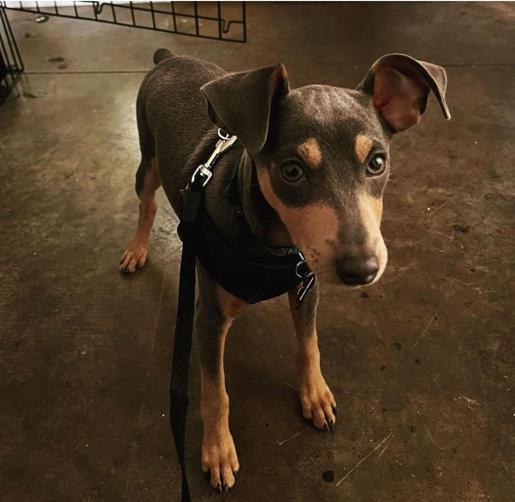 photo_1_2026-03-18_19-23-57