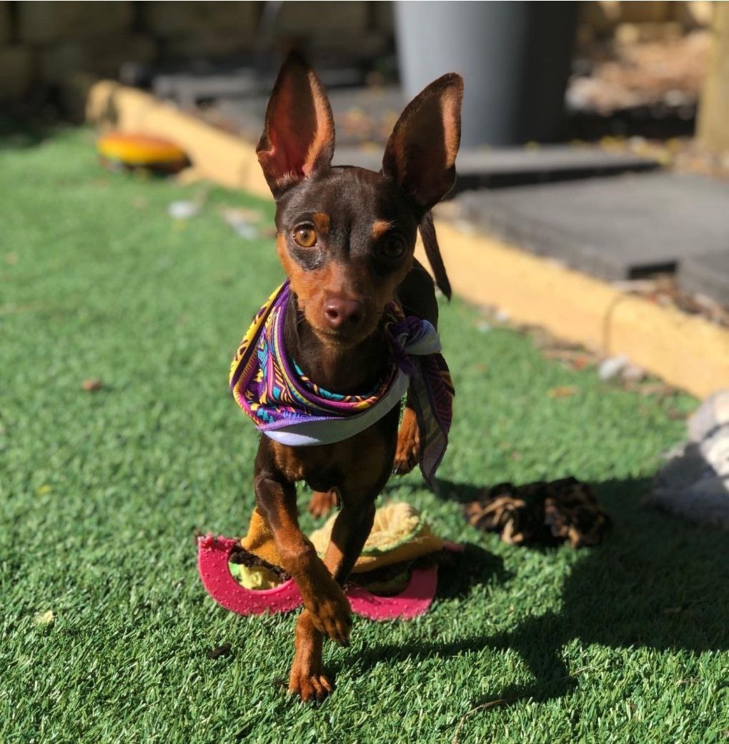 photo_2_2026-03-18_19-23-57