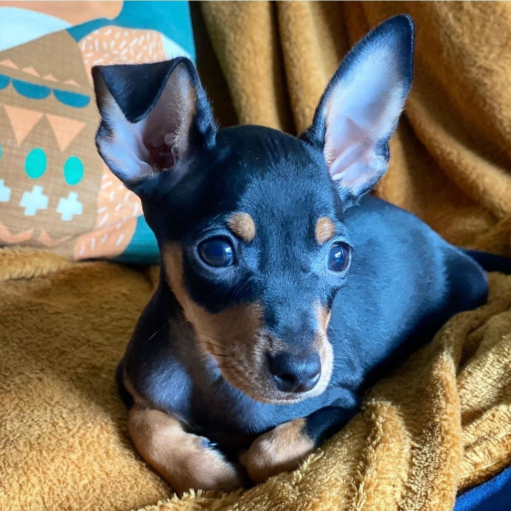 photo_3_2026-03-18_19-23-57