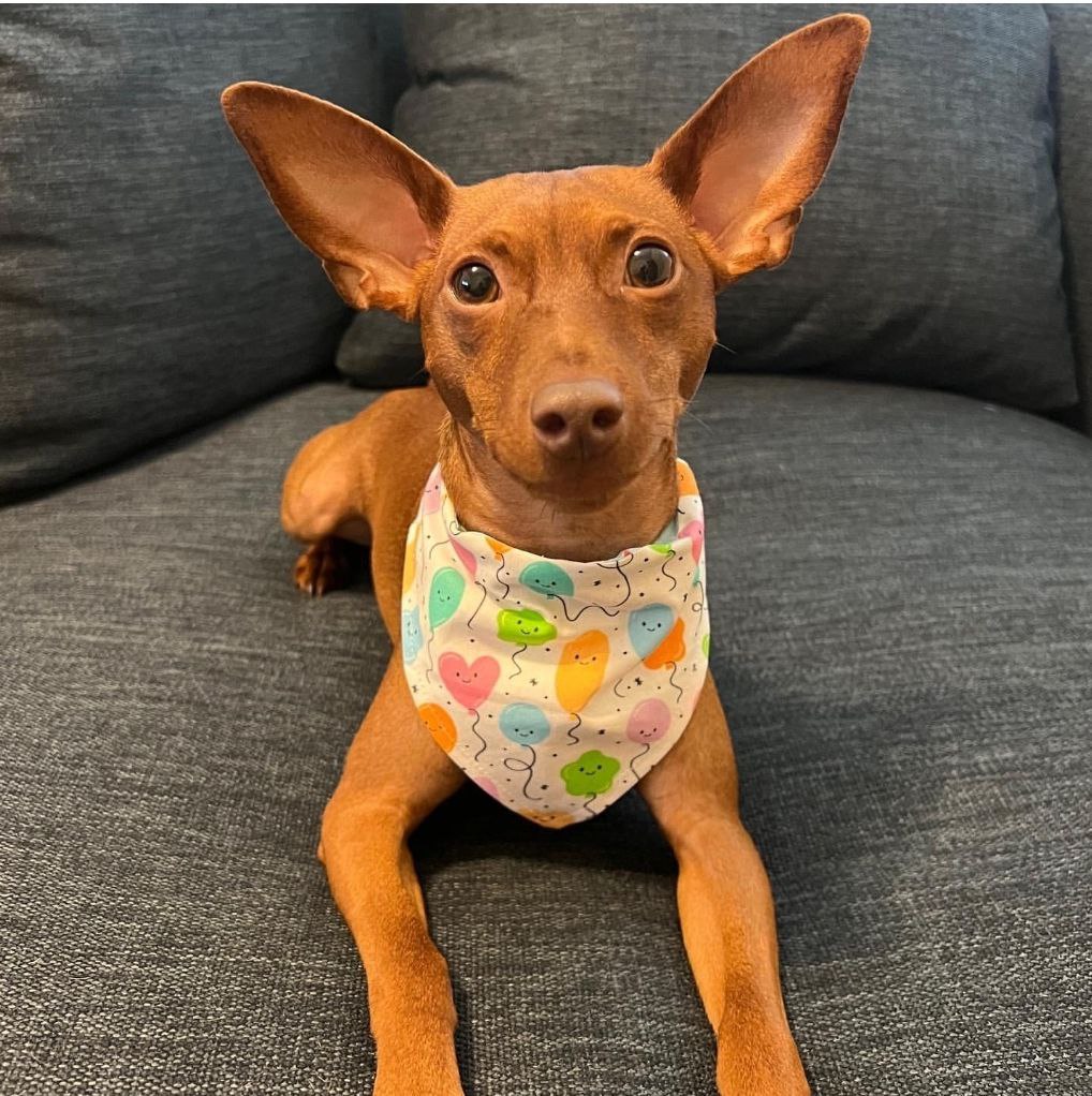 photo_4_2026-03-18_19-23-57